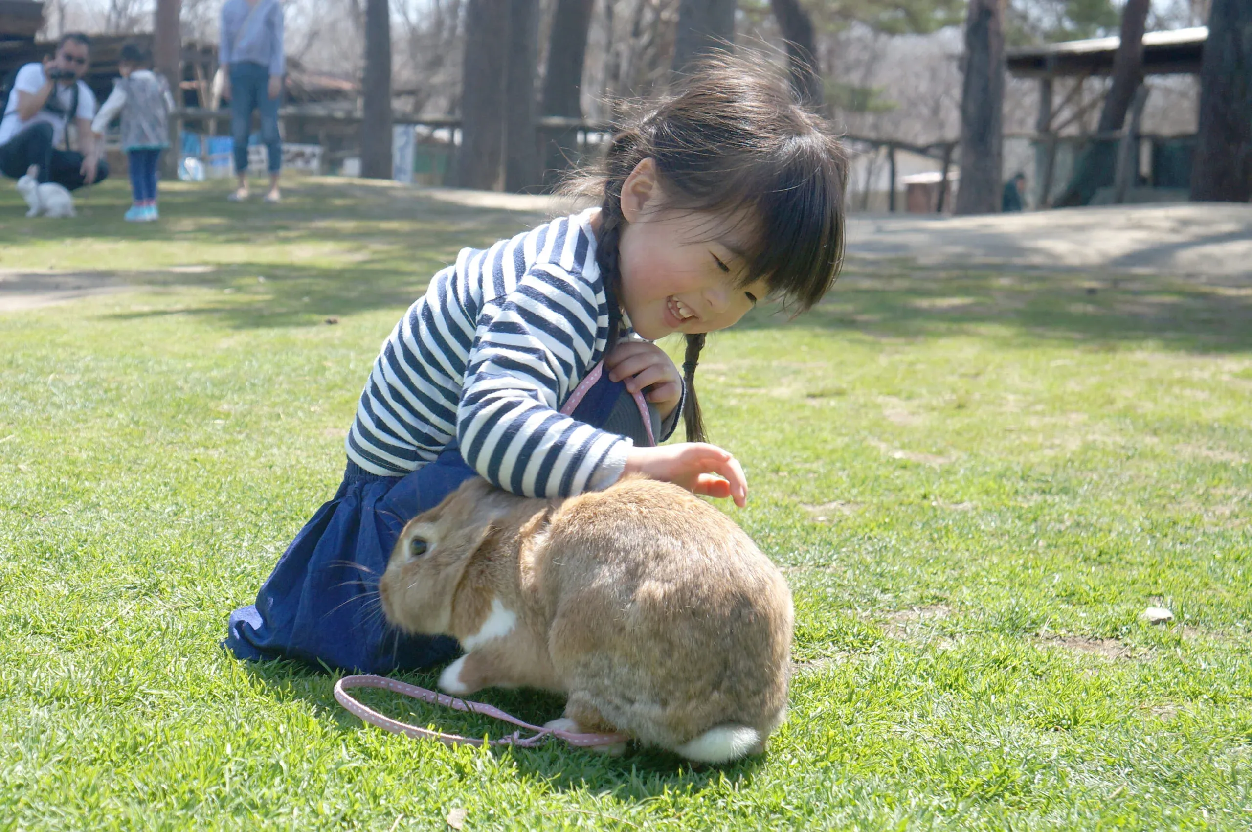 動物とのふれあい